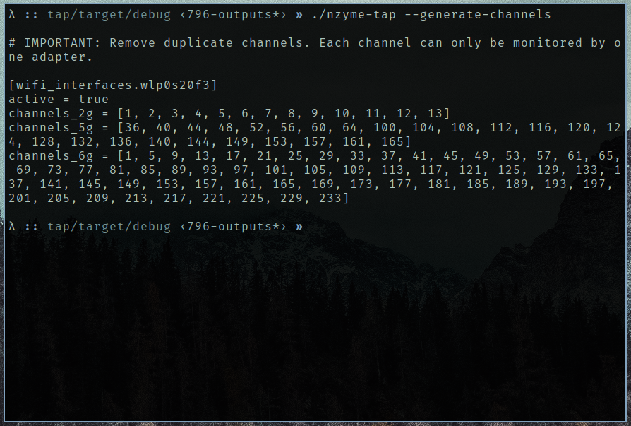 nzyme Terminal Screenshot